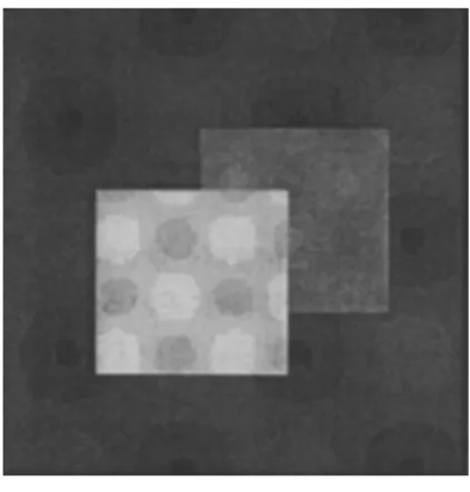 Fig. 11 The model image used in each experiment.