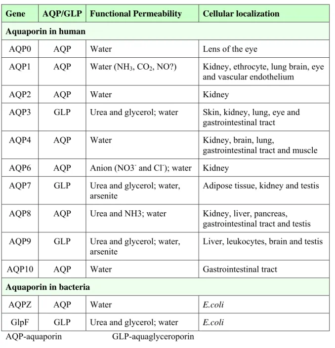 Table 1.2 Functional classification and distribution of AQPs in life organism. 