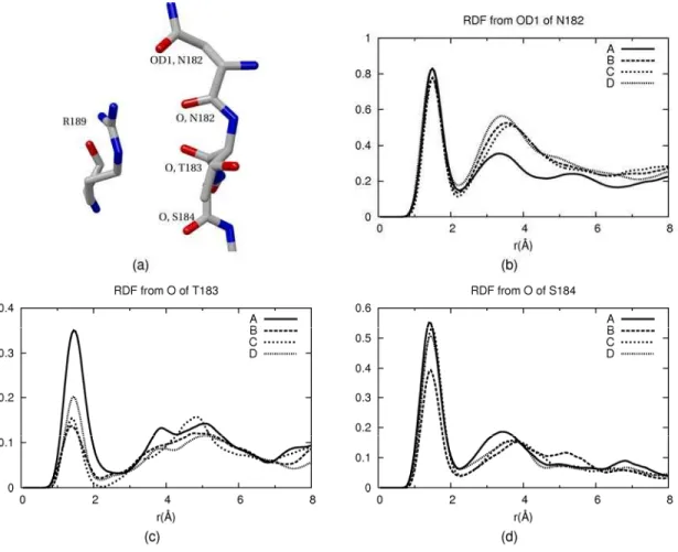 Figure 3.4   (a) The configuration of the residue in the restricted region. (b) - (d) The  radial distribution functions of hydrogen of water around OD1 of N182, O  of T183 and O of S184