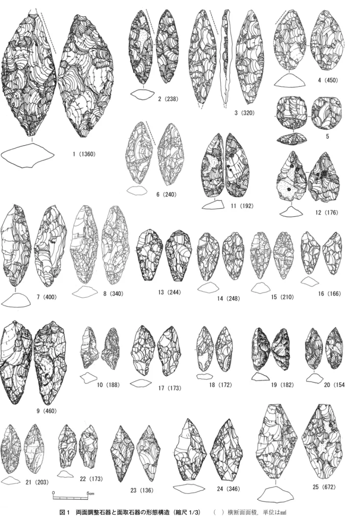 図 1　両面調整石器と面取石器の形態構造（縮尺 1/3）　　（　）横断面面積，単位は㎟