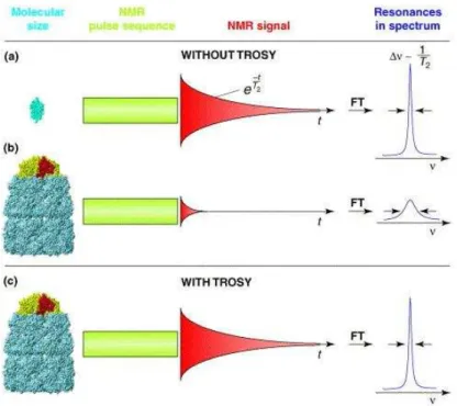 Figure 1-8.  NMR spectroscopy with small and large molecules in solution. (a) The NMR signal obtained from small 