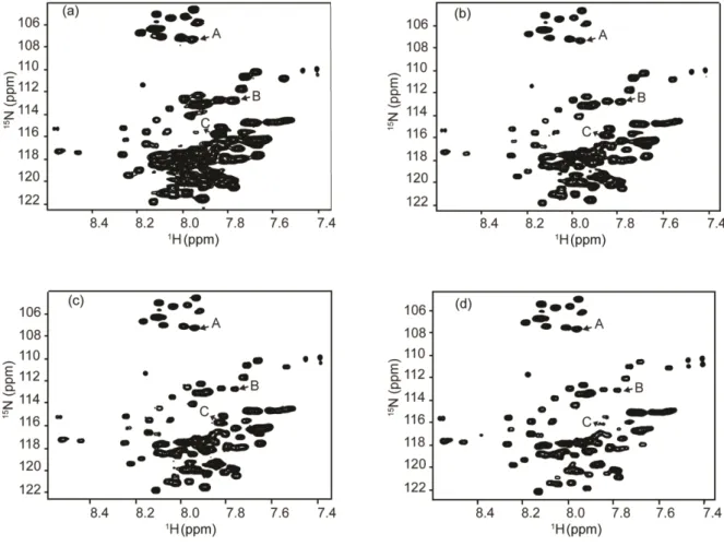 Figure  2-2. 1 H– 15 N  HSQC  spectra  of  15 N-labeled  ubiquitin  in  the  DMSO  solution  with  different  exchange  times 
