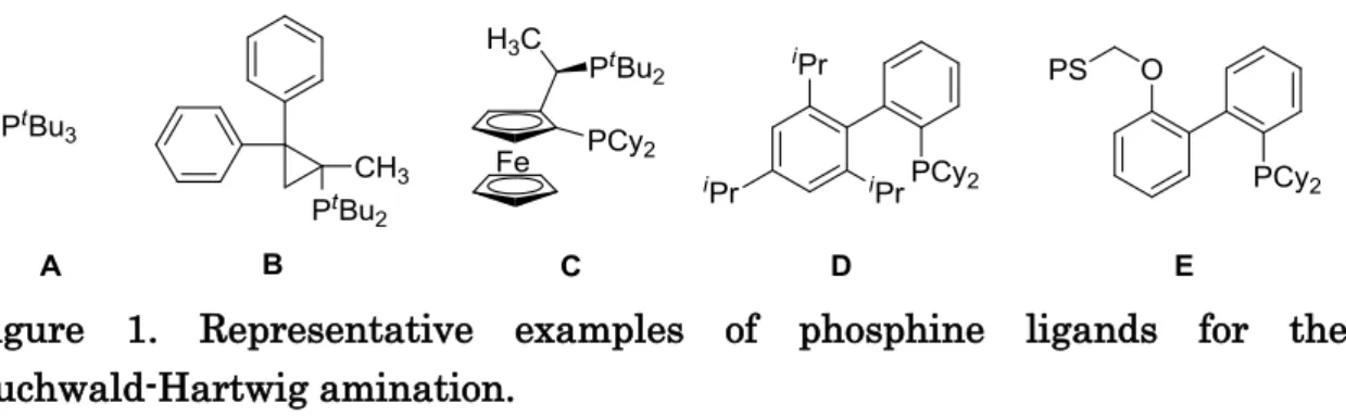 Figure  1.  Representative  examples  of  phosphine  ligands  for  the  Buchwald-Hartwig amination
