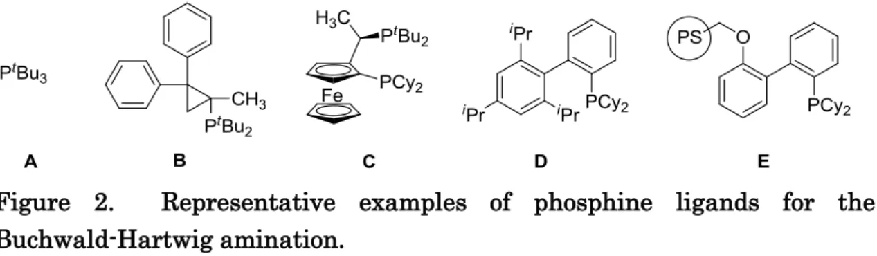 Figure  2.    Representative  examples  of  phosphine  ligands  for  the  Buchwald-Hartwig amination