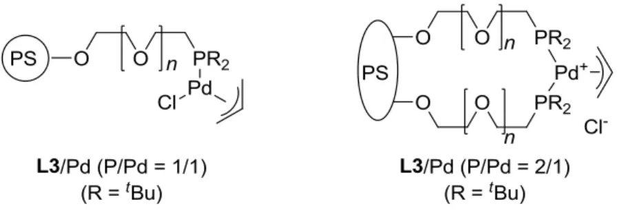 Figure 3.    Proposed structures of the polymeric palladium complexes. 