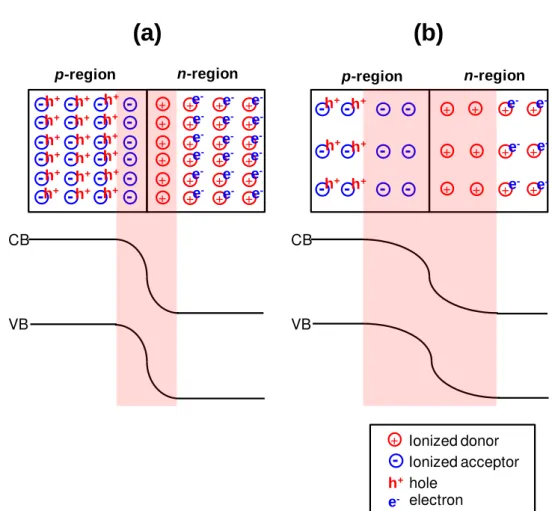 Fig. 1.6 Schematic  illustrations  of space charge distributions  (upper) and energy band  structures (bottom) in the case of (a) high and (b) low doping concentrations