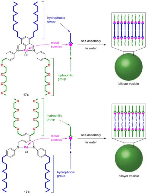 Figure 4. Amphiphilic NCN-pincer palladium complexes 17 