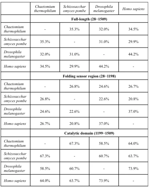 Table 2.2.1. Sequence identity of UGGT among species. 