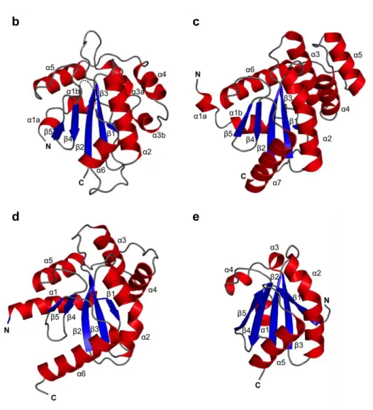 Figure  2.2.2.  Crystal  structure  of  the  Trx3  domain  of  UGGT  comparing  to 