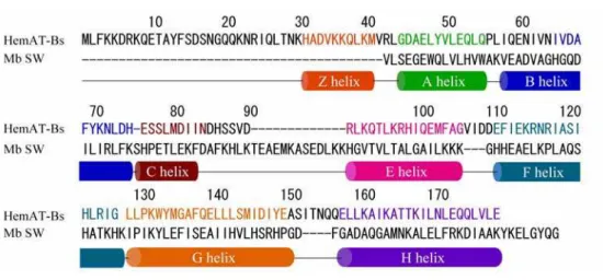 Figure 5. The amino acid sequences of the sensor domain in HemAT and sperm whale Mb. 