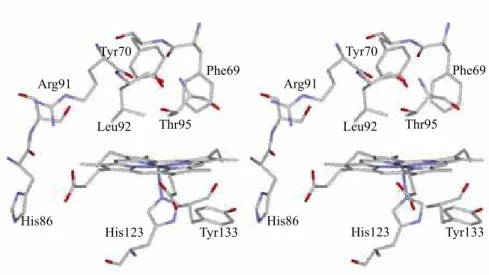 Figure 8. The stereo view of the crystal structure around the heme in the subunit A of ferrous HemAT-Bs  (PDB: 1OR6)