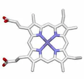 Figure 1. The molecular structure of heme. 