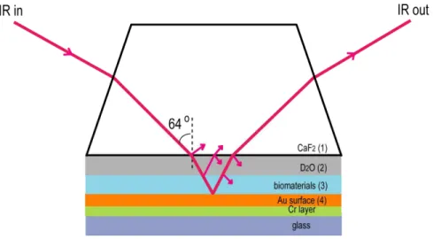 Figure 2.4 The schematic of the sample holder in the present IRRAS experiment.  Layers 1-4 represent the CaF 2  prism, D 2 O layer, adsorbed biomaterials layer and 