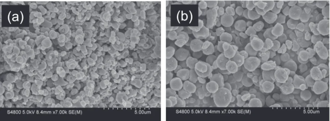 Fig. 5　エレクトロスプレー粒子の SEM 写真（流速１mL/min）
