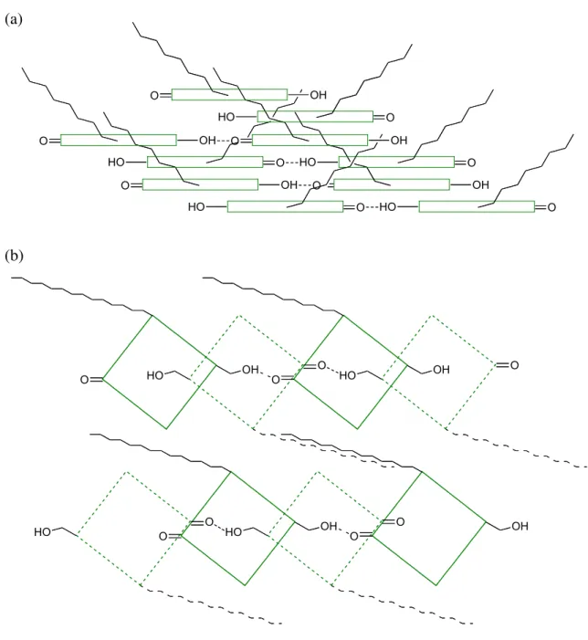 Figure 1-3.    Schematic model of the BChl aggregates in the chlorosome.    (a) Model 