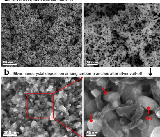 Figure 2.2  (a) SEM images of an Ag 2 C 2  dendroid monolith. (b) after    the segregation 