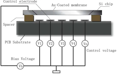Fig 2.5 Schematic drawing of a deformable mirror. PCB: polychlorinated biphenyl 