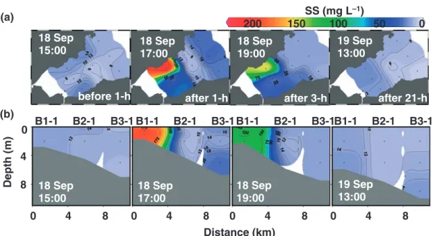 Fig. 5.   （ a ）  Spatial distribution and  （ b ）  vertical distribution along the north transect line of SS concentration  at each sampling instance