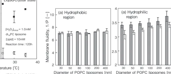 Fig. ４　POPC リポソームの（a）疎水部と （b）親水部の膜流動性の変化（過 酸化水素添加前（■），添加後（□）） なく、リポソームが触媒的に作用していることが示唆される。Fig