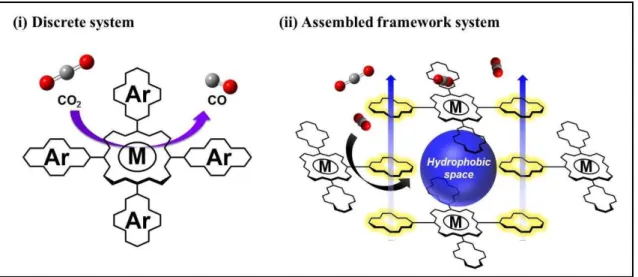 Figure 5. Schematic illustration of the targeted catalytic system (i) discrete system and 
