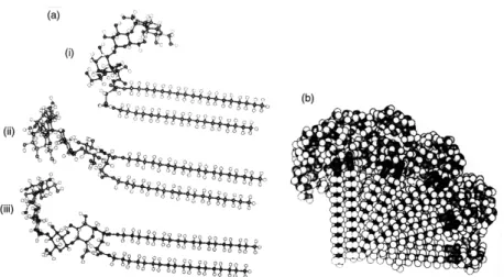 Figure ５　Temperature dependence of segmental motion in glycolipid assemblies obtained from 