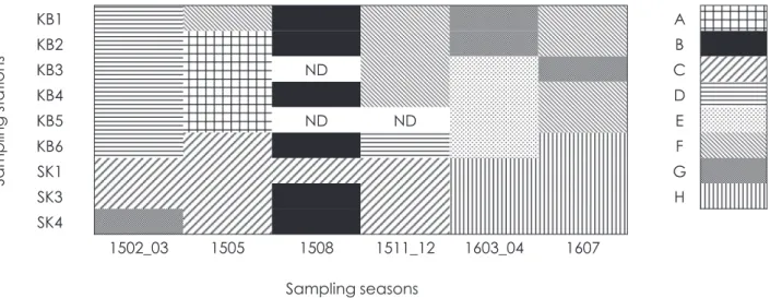Fig. 5. 　 Temporal and spatial allocations of the mesozooplankton community groups  ( A to H )  based on the clus-  based on the clus-ter analysis. ND: no data.KB1 AKB2BKB3NDCKB4DKB5NDNDEKB6FSK1GSK3HSK41502_03150515081511_121603_041607Sampling seasonsSampl