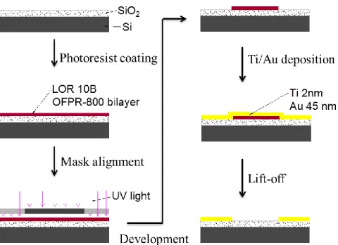 Figure 2.4: Deposition of Ti/Au to make an array of source and drain electrode pads. 