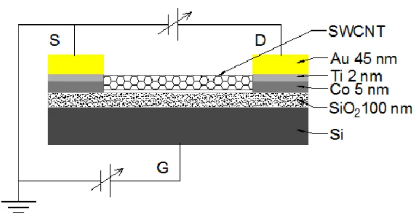 Figure 2.6: Back-gated schematic circuit for measuring the electrical characteristics of  both fabricated CVD-type SWCNT-FET and network SWCNT-FET