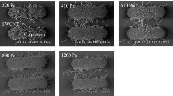 Figure 2.11: SEM image of the pressure dependence of SWCNT growth. 
