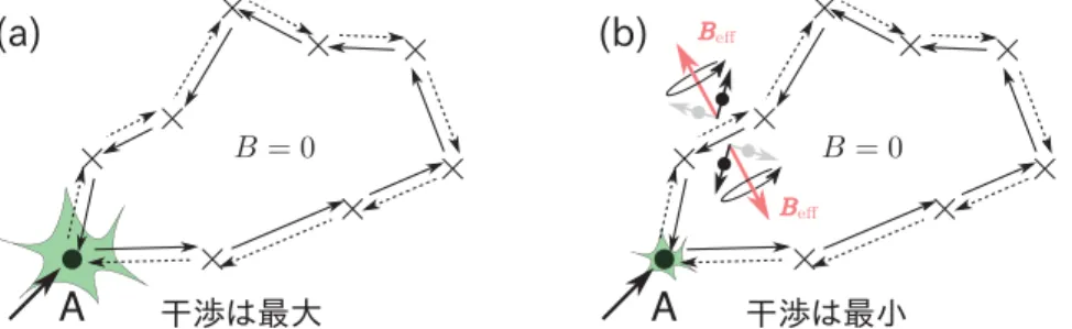 Fig. 1.6 電子波干渉の模式図 . (a) 弱局在効果が現れる場合 . (b) 弱反局在が現れる場合 .