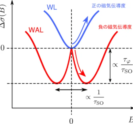 Fig. 1.7 WL および WAL の磁気伝導度曲線 . 伝導度変化の大きさは位相緩和時間 τ ϕ とスピン軌道緩 和時間 τ SO の比に比例し , 伝導度が最小を示す磁場は τ SO の逆数に比例する .
