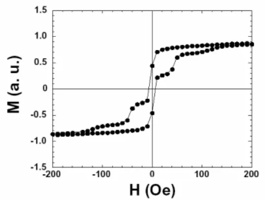 Fig. 2. Scanning electron microscope images  of a junction before the Alq 3  or Gaq 3