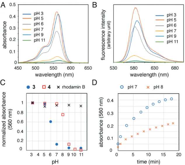 図 3 （A）プローブ 3 （10μM) の 0.1 M リン酸緩衝液（pH 3 − 11）中の吸収スペクトル （B）プローブ 3 （10μM） の 0.1M リン酸緩衝液（pH3 − 11）中の蛍光スペクトル（励起波長 : 520 nm） （C）プローブ 3、ローダミン B のベンジルアルコール誘導体（4）、ローダミン B の 0.1M リン酸緩衝液中の pH 依存的な吸光度（560 nm） 変化（D）0.1M リン酸緩衝液（pH7 または８）に溶解したプローブ 3 （10μM）にアクロレイン（1mM）を