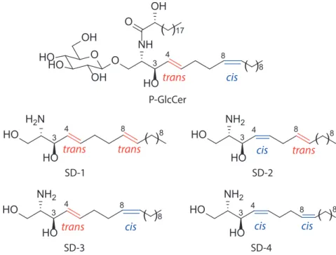 Figure 1  P-GlcCerと 4 種類の 4,8-sphingadienine の異性体（SD-1~4）
