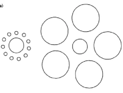 図 2.5 エビングハウス錯視 (Aglioti et al., 1995.)