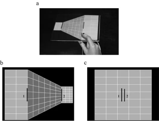 図 2.7 把握実験：奥行き錯視 (Ganel et al., 2008.)