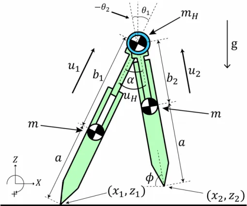 図 2.1: 伸縮脚を用いた 2 脚ロボットモデル となる．ここで， M (q) は慣性行列， h(q, q)˙ は中心力 · コリオリ力と重力項の組 み合わせを表す．また，Su は制御入力項，J (q) T λ は拘束条件項，J µ ( q)˙ T λ は摩 擦力項である． 左辺の慣性行列の詳細は， M (q) = ( M 1 (q 1 ) 0 4 × 4 0 4 × 4 M 2 (q 2 ) ) (2.3) M i (q i ) =    m + m 2 H 0 (ma + m 2 H (a 