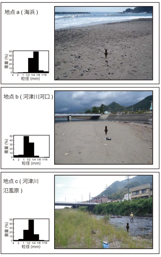 Fig. 9　Locations of sampling points (arrows) of surface sediments and histograms of grain-size distribution.