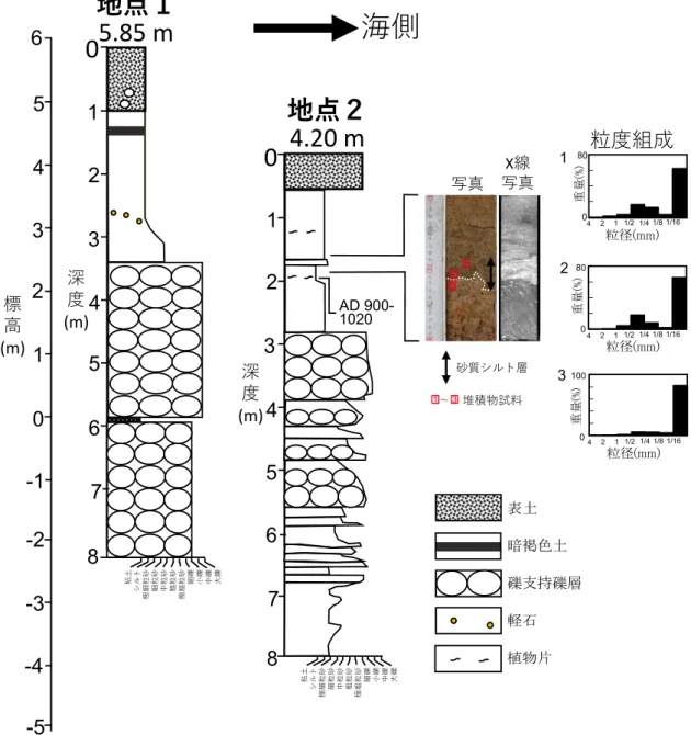 Fig. 7　Columnar sections of the study sites and histograms of grain-size distribution