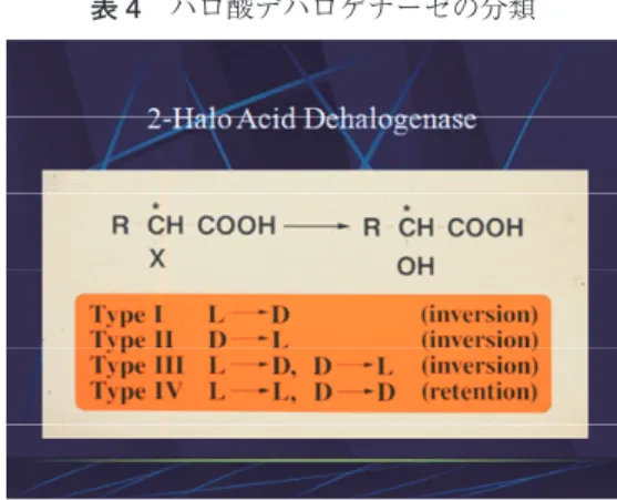 表 4　ハロ酸デハロゲナーゼの分類