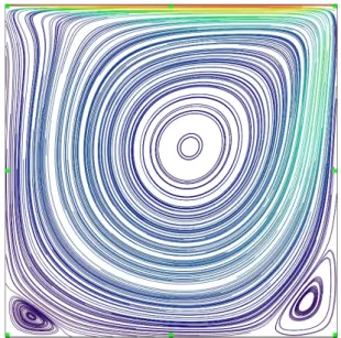 図 3.5: Cavity Flow レイノルズ数 Re=1000