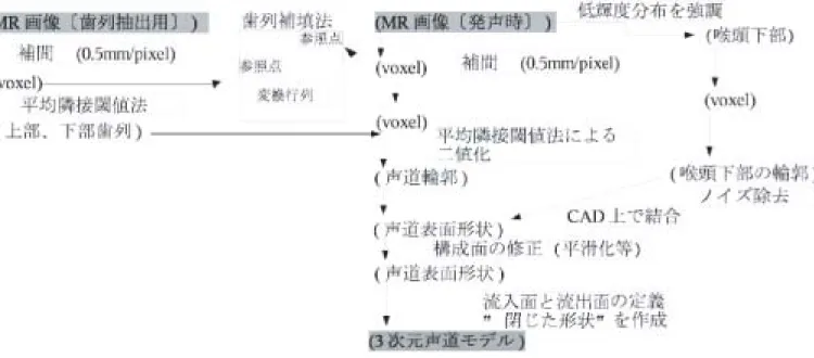 図  声道モデルの作成手順 この中で喉頭下部の形状については、発声時の 画像の低輝度分布を強調するように 調整した 711 画像を用意し、 .'< 上で結合した。輝度分布の調整は、視察によるもの である。その他については、次節以下で述べる。また、図  に上記の問題を考慮した作 業手順を示す。  歯列補填法による歯列の再現 新川らは、歯冠プレートを被験者に装着させることで、歯列の造影を行っている。 し かし、歯冠プレートの装着は被験者に違和感を与えることで、正常な構音ができなくなる 可能性がある。本研究