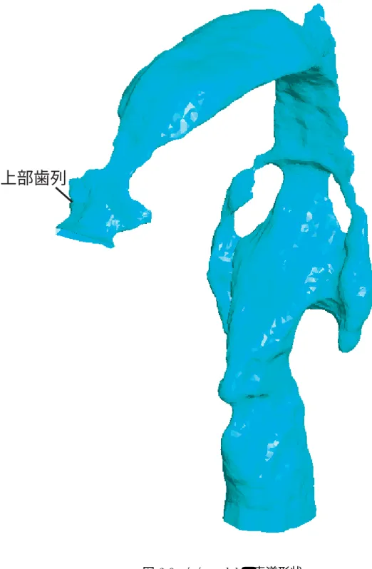 図   / の声道形状