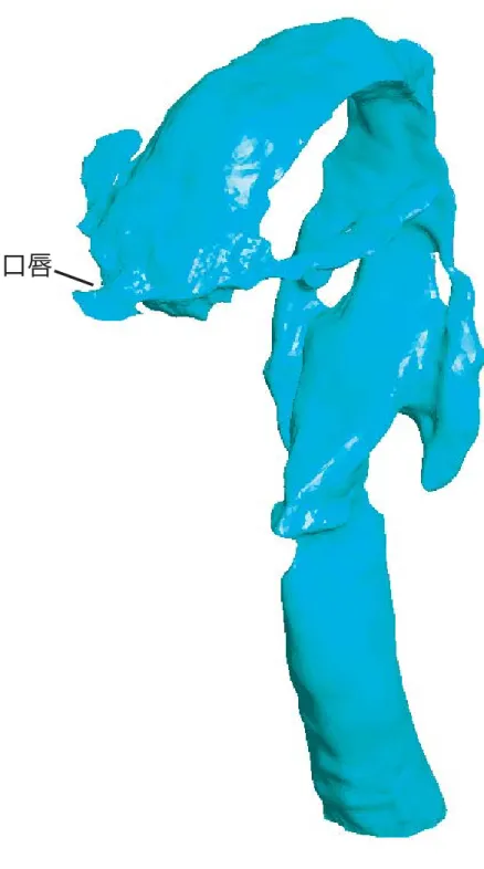 図   / の声道形状