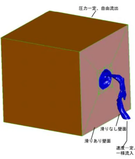 図  境界条件の  モデルを対象とした図例 着目して部分的に細かい格子を配置しつつ、計算可能範囲の格子数に抑えた。境界層格子 を含む境界格子の縦横比は  以下であり、境界層を除いた場合は約  程度の格子となっ た。子音毎に異なる計算条件を表  にまとめる    定常状態の判別 非定常計算を行うため、初期条件による影響が強い初期状態から十分に流れ場が発達し た状態まで気流の状態を発展させる必要がある。計算領域中の歯列に相当する壁面上の圧 力の平均値の変動をみると  図  、約 / 後以降ではある時間平均値の上