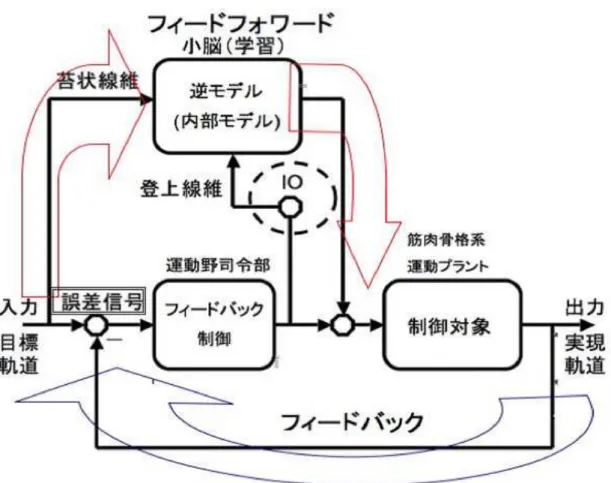 図 2.1: 内部モデル仮説における小脳学習のモデル。下オリーブ核 (Inferior Olive) は登上 線維へ誤差信号を伝える主要器官であると想定されている。