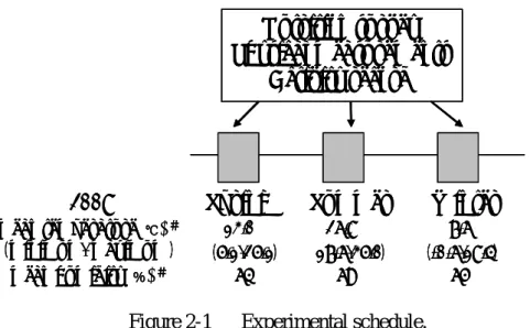 Figure 2-1   Experimental schedule. 