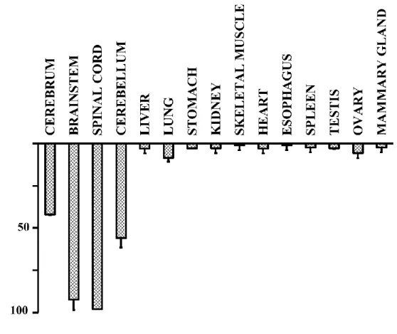 Figure 1. The expression of GMF mRNA in rat organs at 3 months of age [6]. 