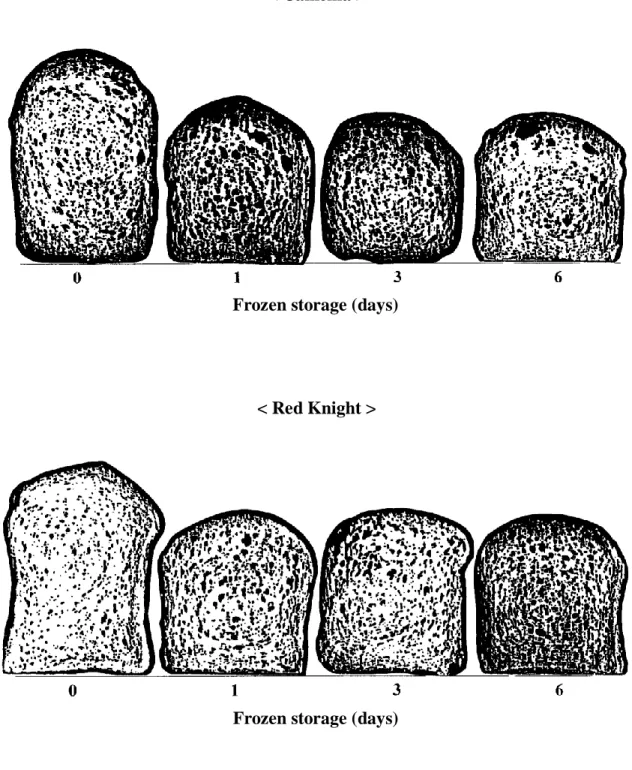 Fig. 1. Appearance of sectioned bread baked from bread doughs of Camellia and Red  Knight wheat flours after 0 (nonfrozen), 1, 3 or 6 days in frozen storage