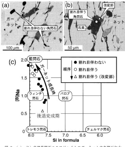 Fig.  3   (a)  ,  (b)  Back-scattered  electron  images  of  amphibole  inclusions  within  garnet  in  Kotsu  glaucophane  eclogite  (Aoya  et  al.,  2003)  